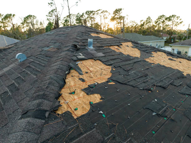 Best Metal Roofing Installation  in Peru, IN